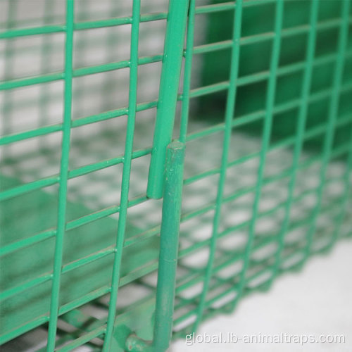 Small Animal Trap Cage Metal Wire Mesh Catch Mouse Rat Trap Cage Manufactory